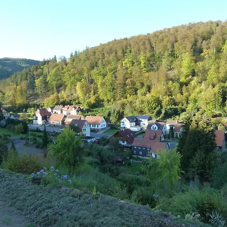 公寓 格肯度假公寓 *